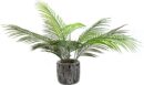 2 Ft Fake Palm Plant Real Touch Faux Tropical Palm Tree  Small Artificial  Houseplant in Striped Cement Planter for Home Living Room Decor Housewarming Gift