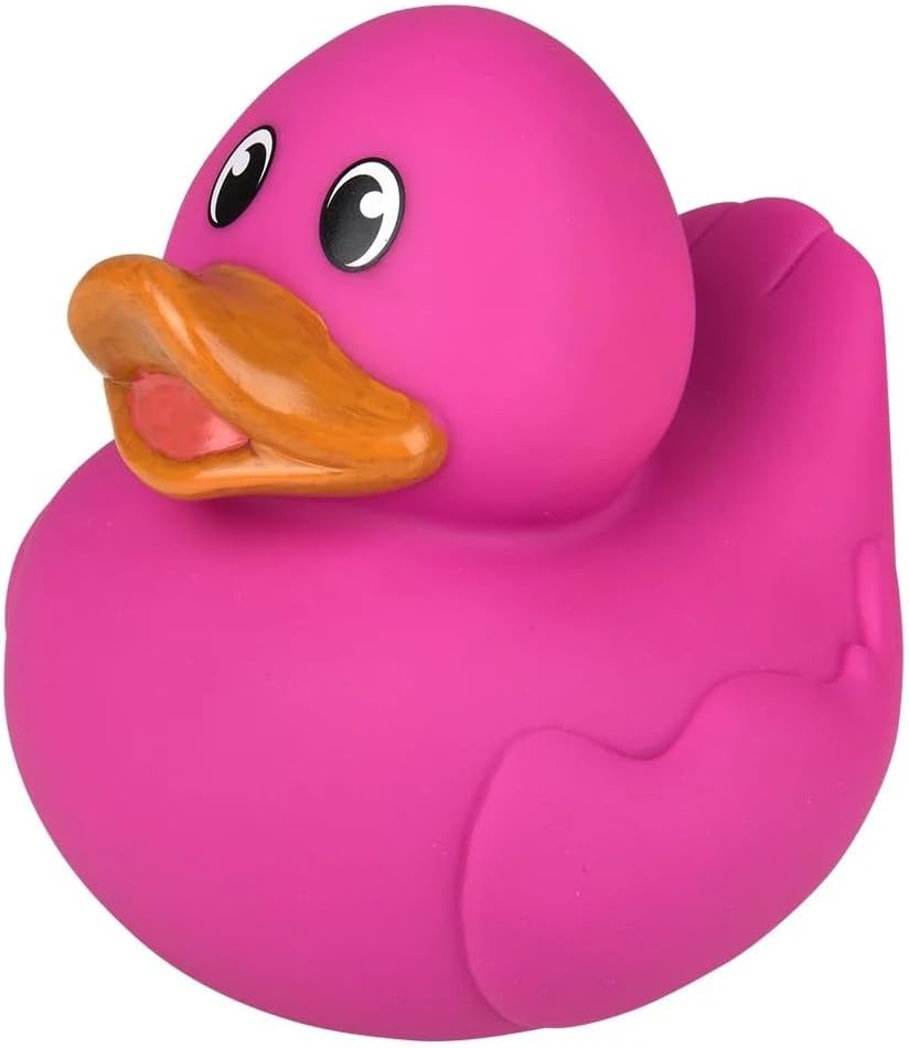 51VyV45nAL._AC_SL1000_