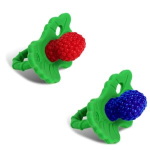 Silicone Teether Pacifier – Teething Relief for Infants, Food-Grade, BPA-Free, Hands-Free, Natural  Fruit Texture for Sensory Development, Freezable, 2-Pack - Red & Blue